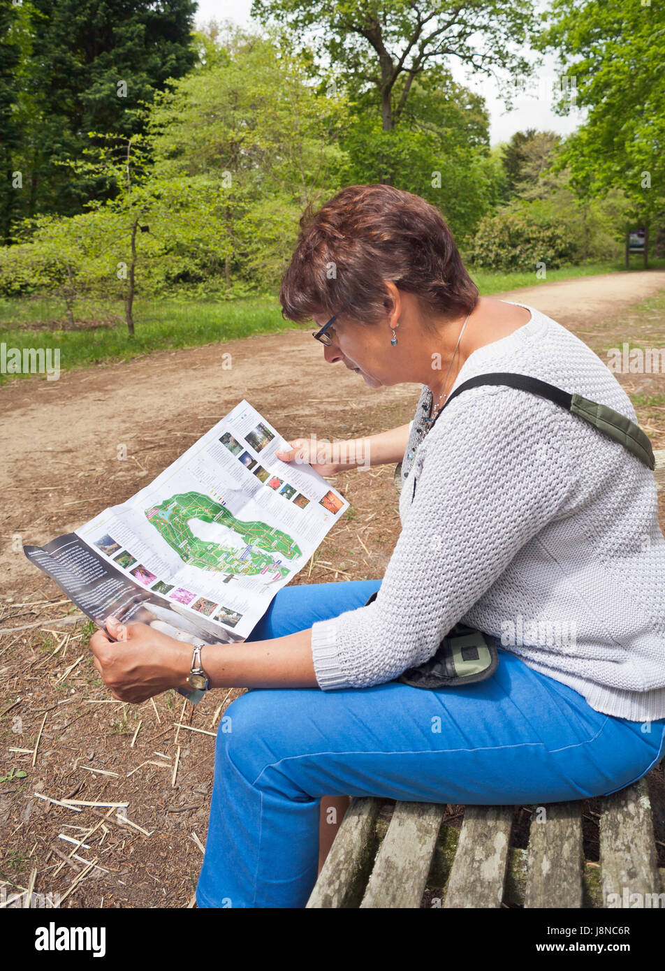 Donna matura la lettura di una guida del parco. Foto Stock