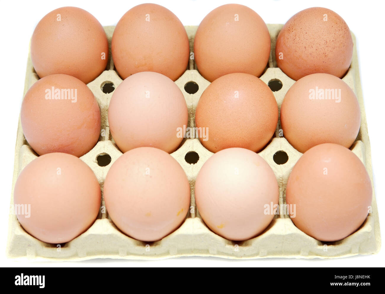 Cibo, aliment, shell, bollire, cuochi, per ebollizione, cottura, preparare, forma parabolica, Foto Stock