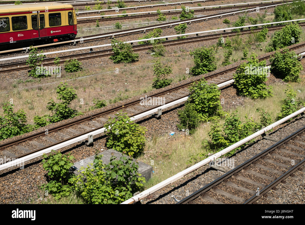 Berlino, Germania - 27 maggio 2017: S-Bahn treno sul multi-lane rail / rete ferroviaria a Berlino Olympiastadion ( Stadio Olimpico). Foto Stock