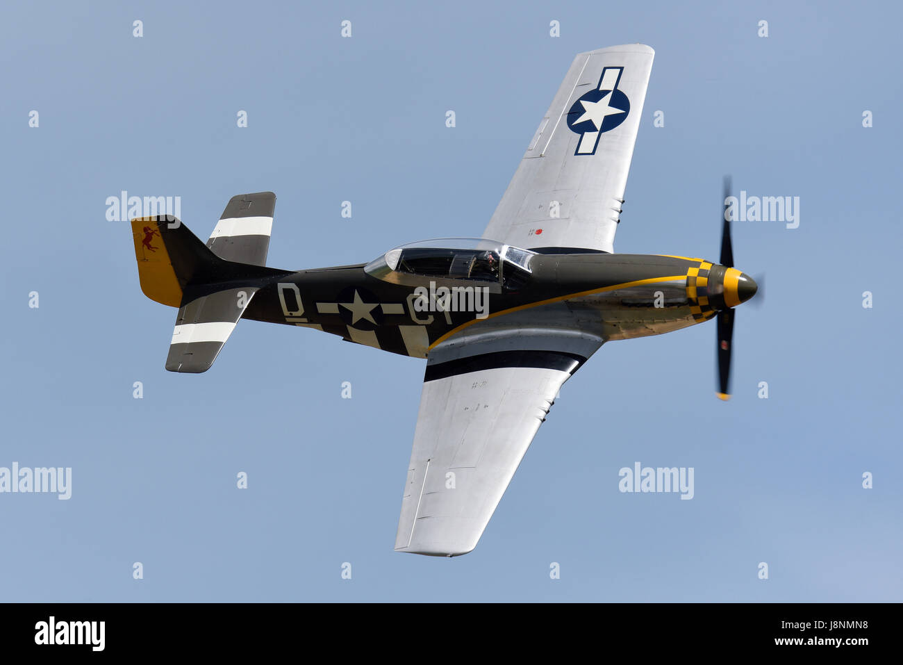 P-51 nordamericano Mustang NX251RJ pilotato da Richard Grace Foto Stock