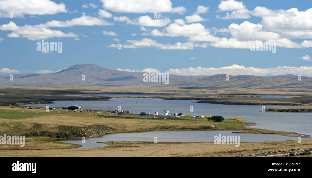 Isole Falkland Foto Stock