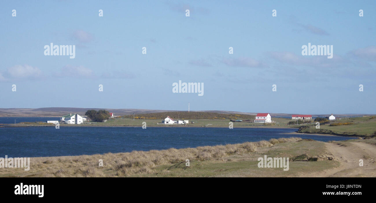 Isole Falkland Foto Stock