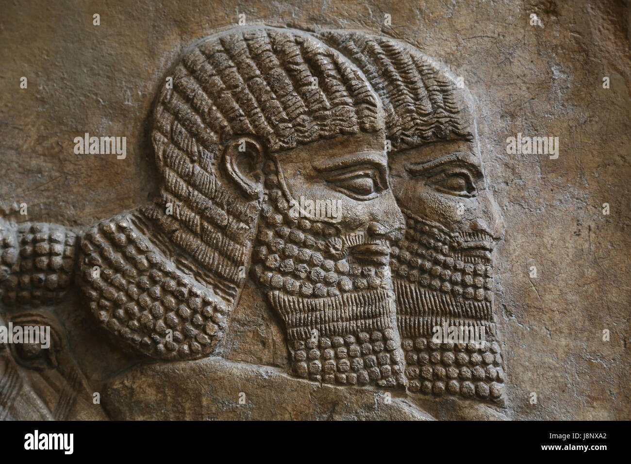 Soldato. Dettaglio. Assira, 728 BC. Nimrud, Palazzo centrale. L'Iraq. Le campagne in Siria e Iran in 738-7BC. British Museum. Londra. Foto Stock