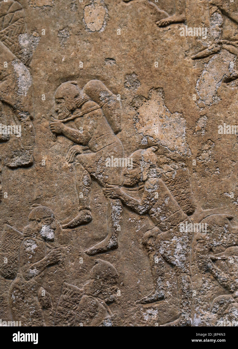 Prigionieri in un boschetto di palme. Assira, 640-620 A.C. Ninive, Palazzo Sud-Ovest, Iraq. British Museum. Londra. Foto Stock