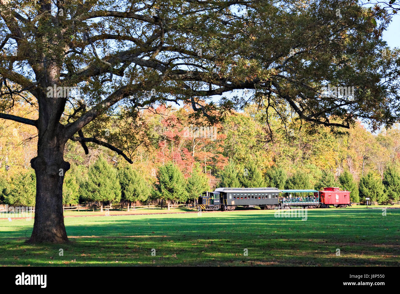 Dalla stazione ferroviaria, locomotiva, treno, motore, materiale rotabile, veicolo, mezzi di viaggio, Foto Stock