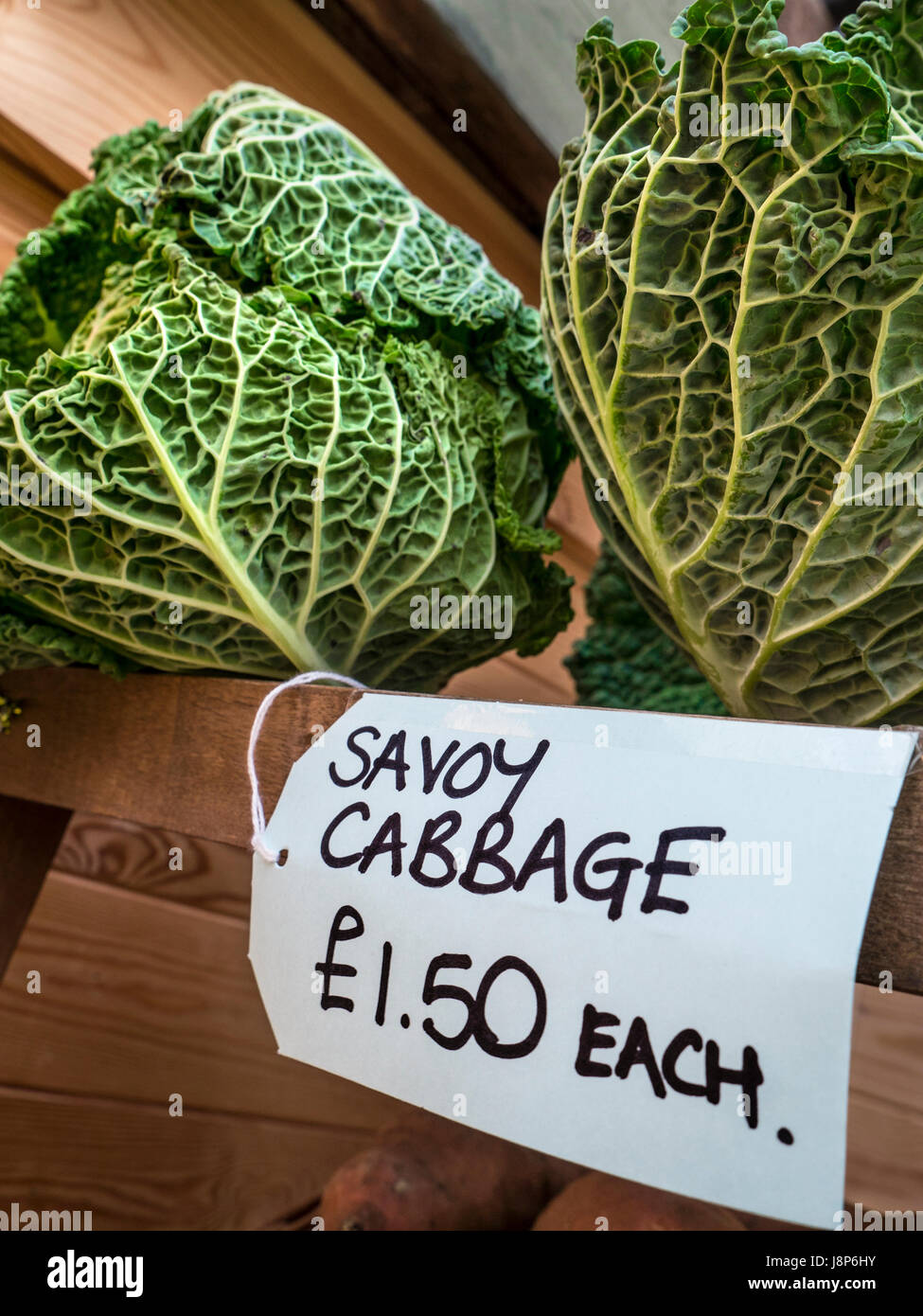 Cavolo verza inverno primavera raccolto vegetale in vendita presso Dorset agricoltori Shop a £ 1,50 ogni Foto Stock