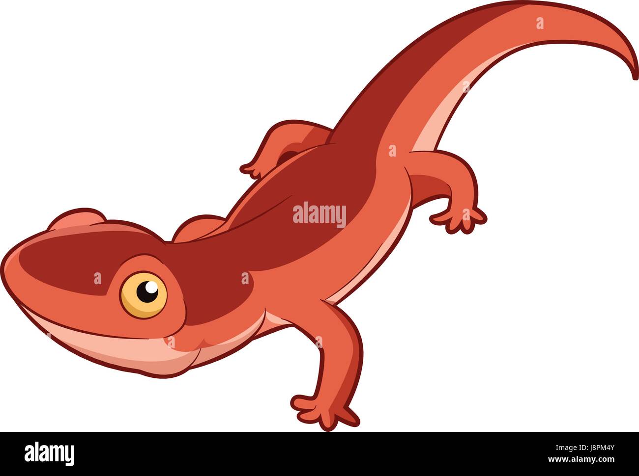 Cartoon Newt sorridente Illustrazione Vettoriale