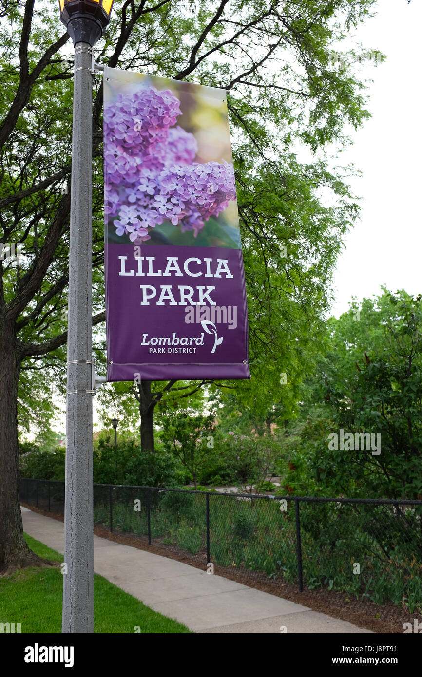 LOMBARD, Illinois - 26 Maggio 2017: Parco Lilacia banner. Una volta casa di un Colonnello William R. prugna del giardino lilla il parco è stato lasciato sul passaggio di C Foto Stock