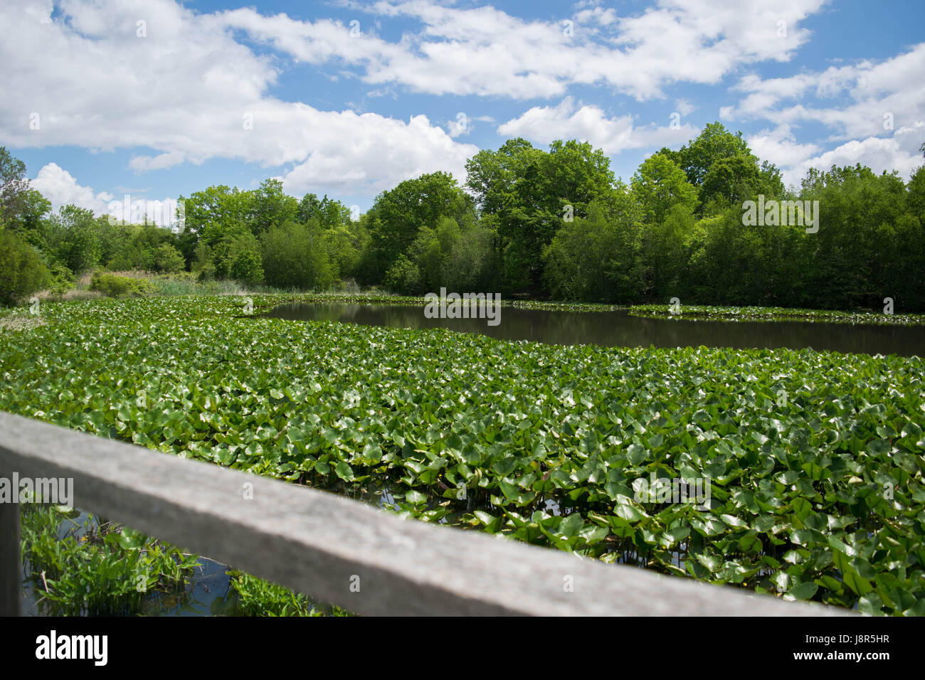 New York visualizzazioni Foto Stock