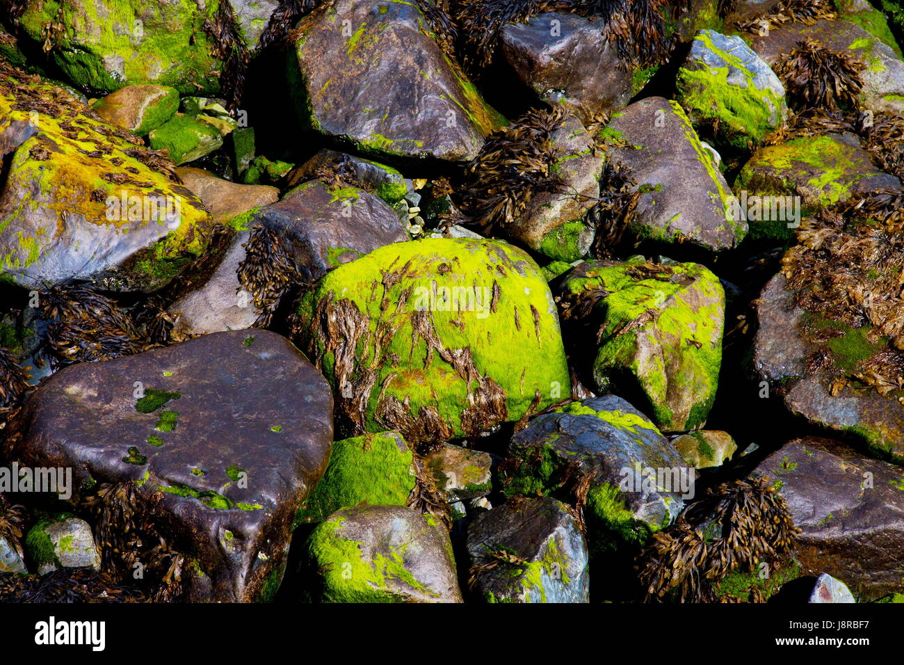 Abstract di rocce costiere contemplati nelle alghe marine Foto Stock