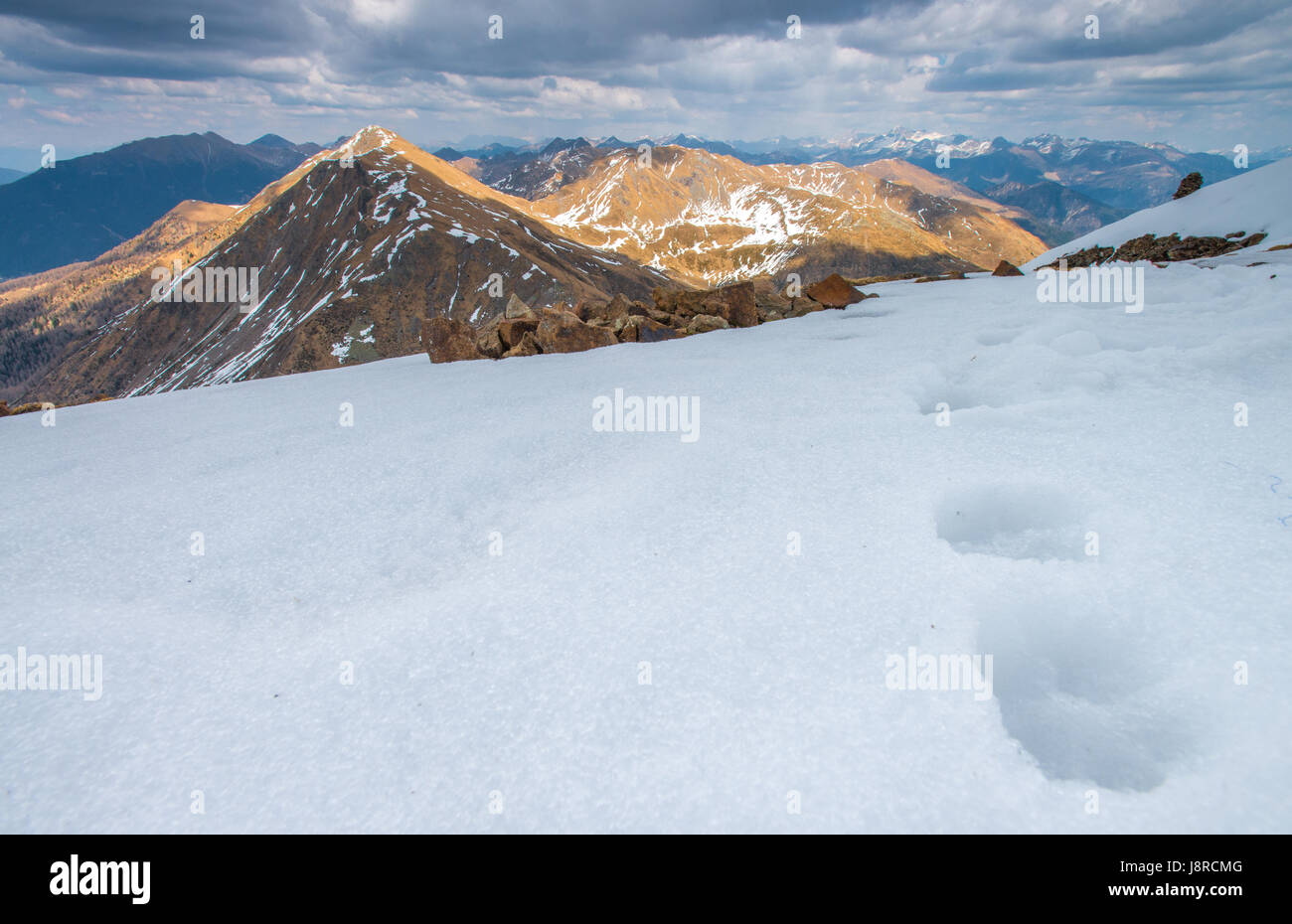 Neve e piste del cane alla sommità del Monte Fravort, nel Lagorai area delle Alpi italiane. Foto Stock