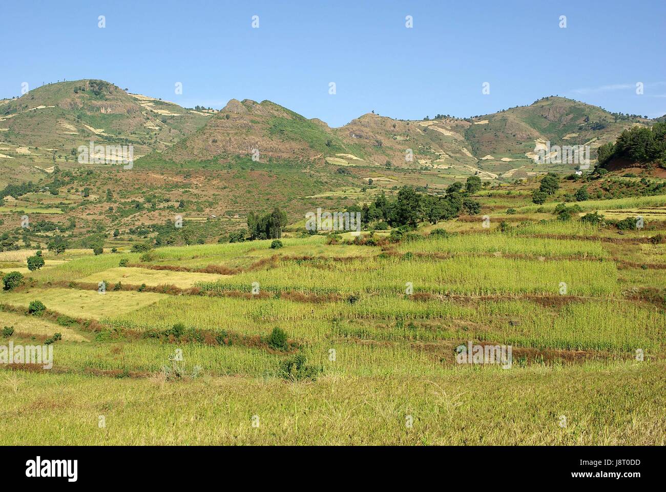 Africa, paesaggio, paesaggio, paesaggio, natura, hill, Wild, africa, campo Foto Stock