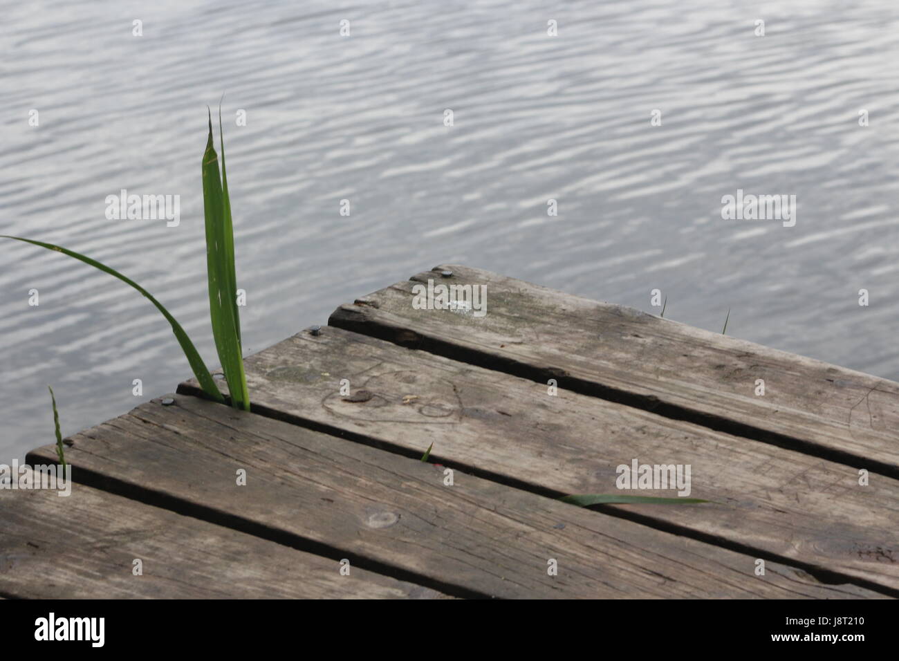 Il dock al Lago di Belleville Foto Stock