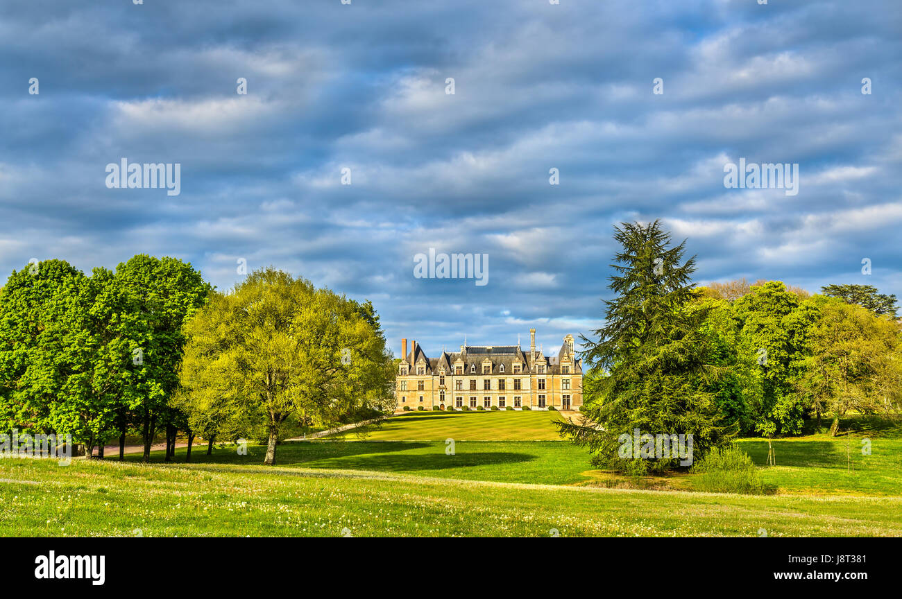 Chateau de Beauregard, uno dei castelli della Valle della Loira in Francia Foto Stock