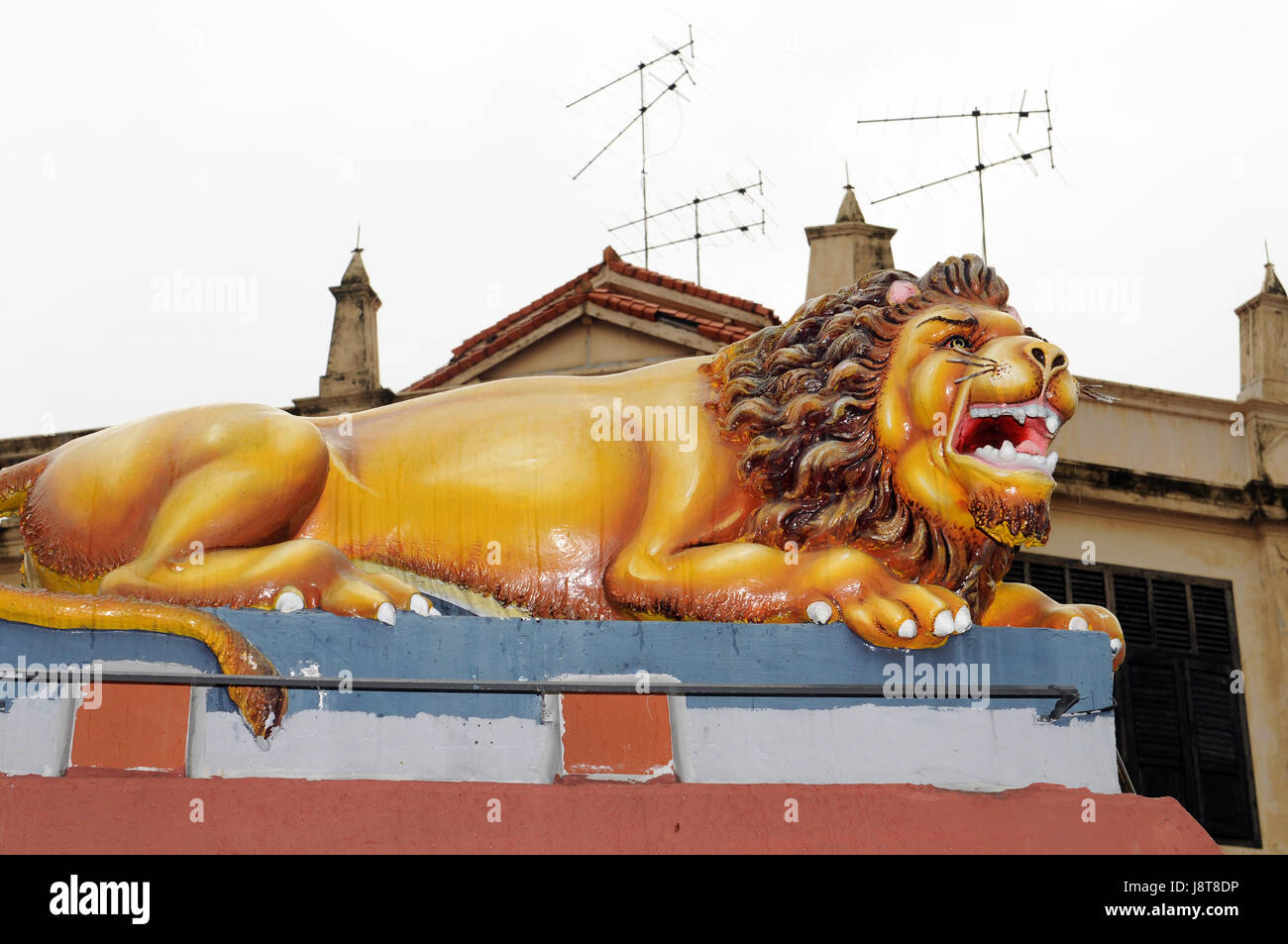 Tempio, lion, gatto, Gatto grande, predatore felino, parete, Singapore, religione, tempio, Foto Stock
