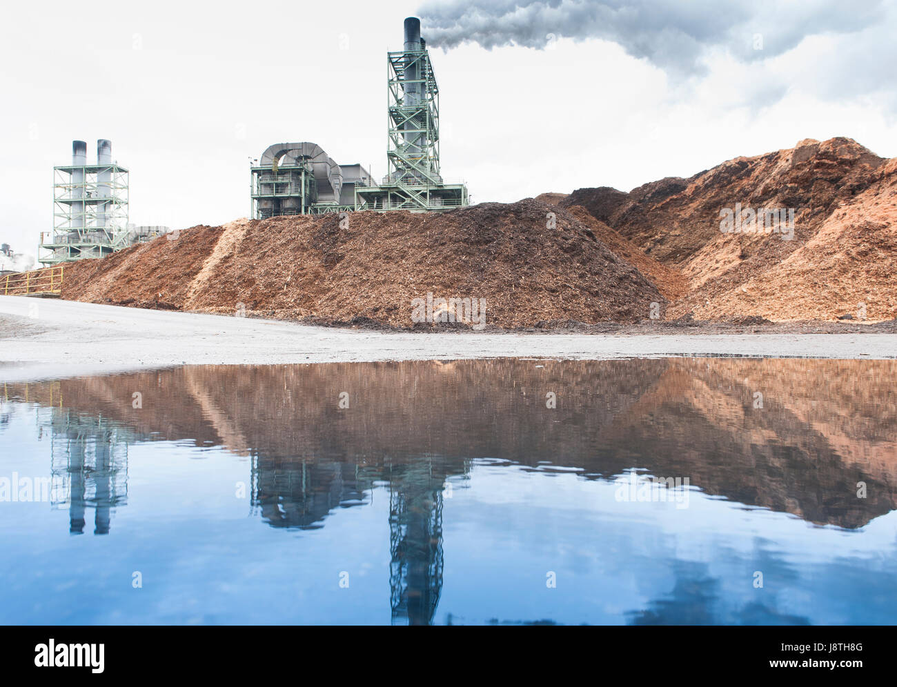 La cartiera di operazioni nel mercato americano del Pacifico del Nord Ovest. Chip di legno pila alimenta il materiale grezzo per il processo di produzione della carta. Foto Stock