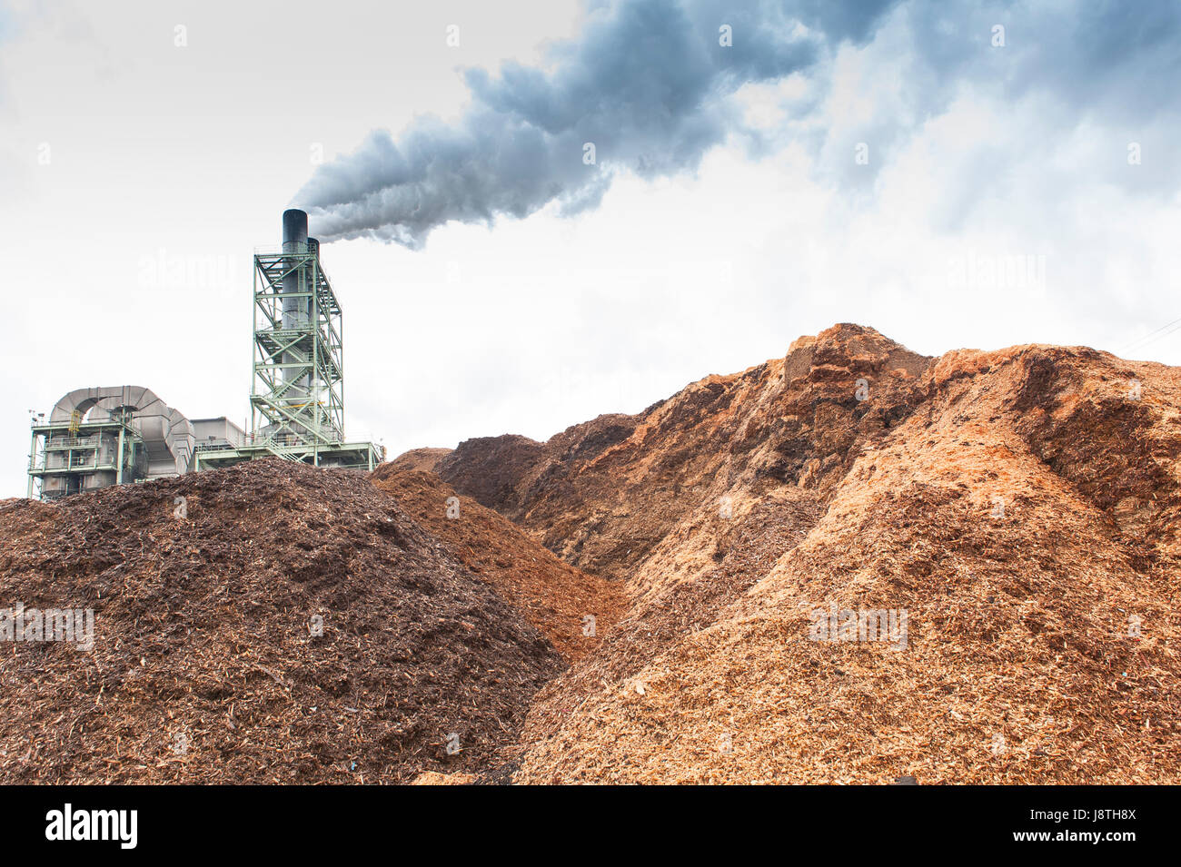 La cartiera di operazioni nel mercato americano del Pacifico del Nord Ovest. Chip di legno pila alimenta il materiale grezzo per il processo di produzione della carta. Foto Stock