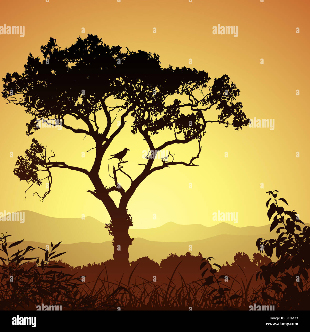 Albero, albero, bird, illustrazione, ramo, boschi, silhouette, paese, paesaggio, Foto Stock