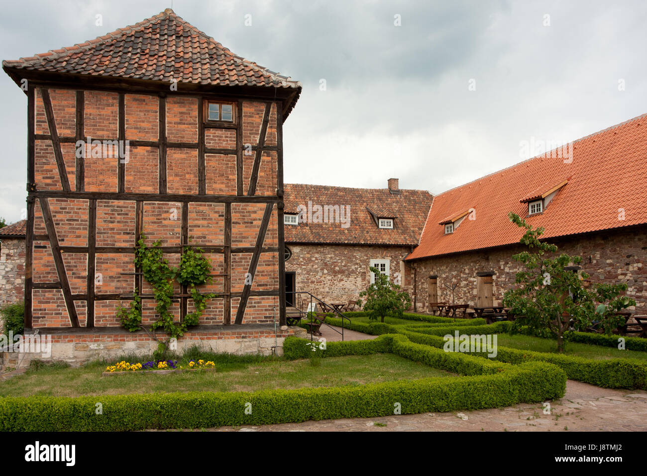 Albero, giardino, rovere, frame-lavoro, un obiettivo di viaggio, giardini, chateau, castello, albero, Foto Stock