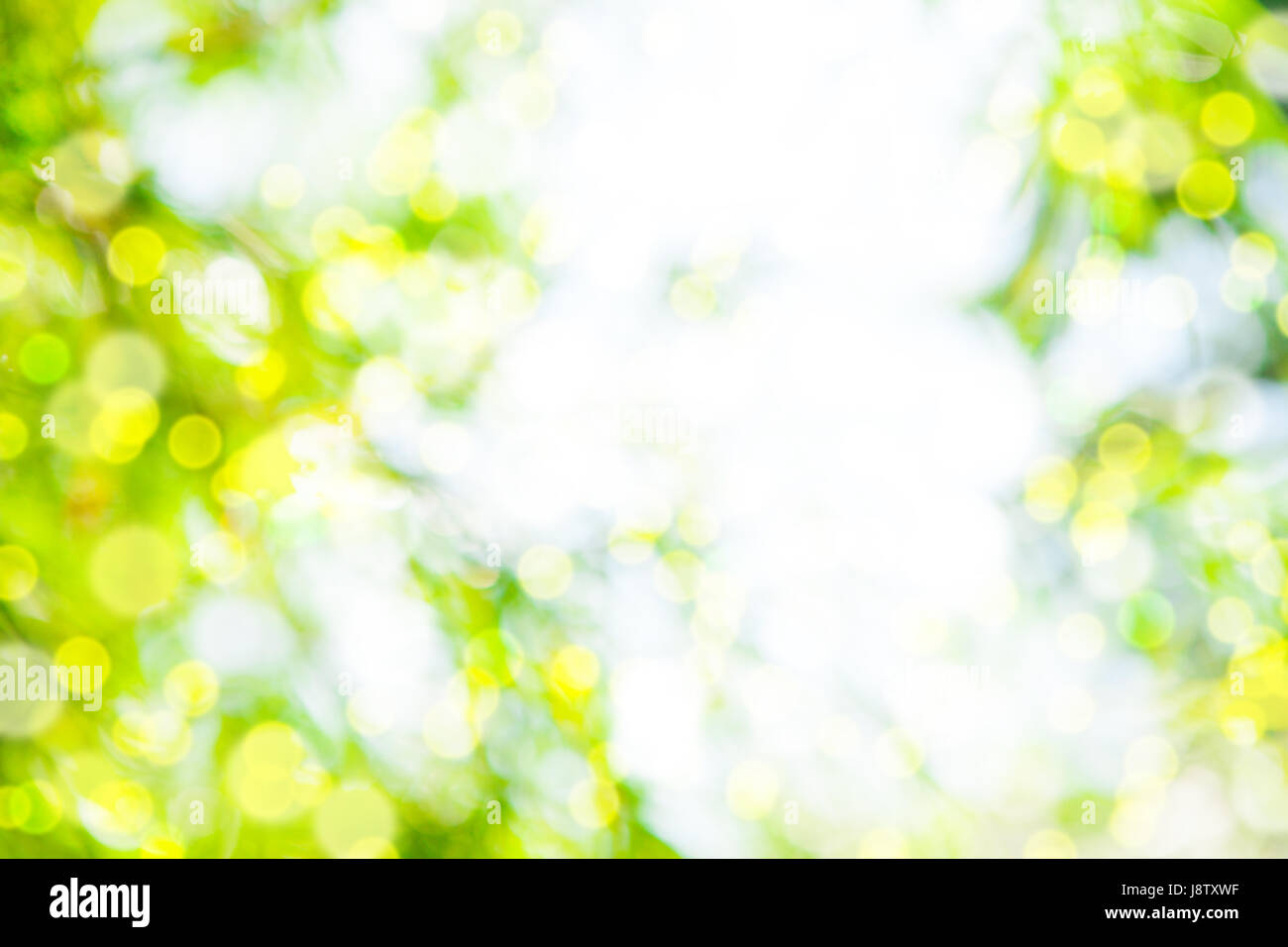 Estate sfondo sfocato con effetto bokeh di fondo. Foto Stock