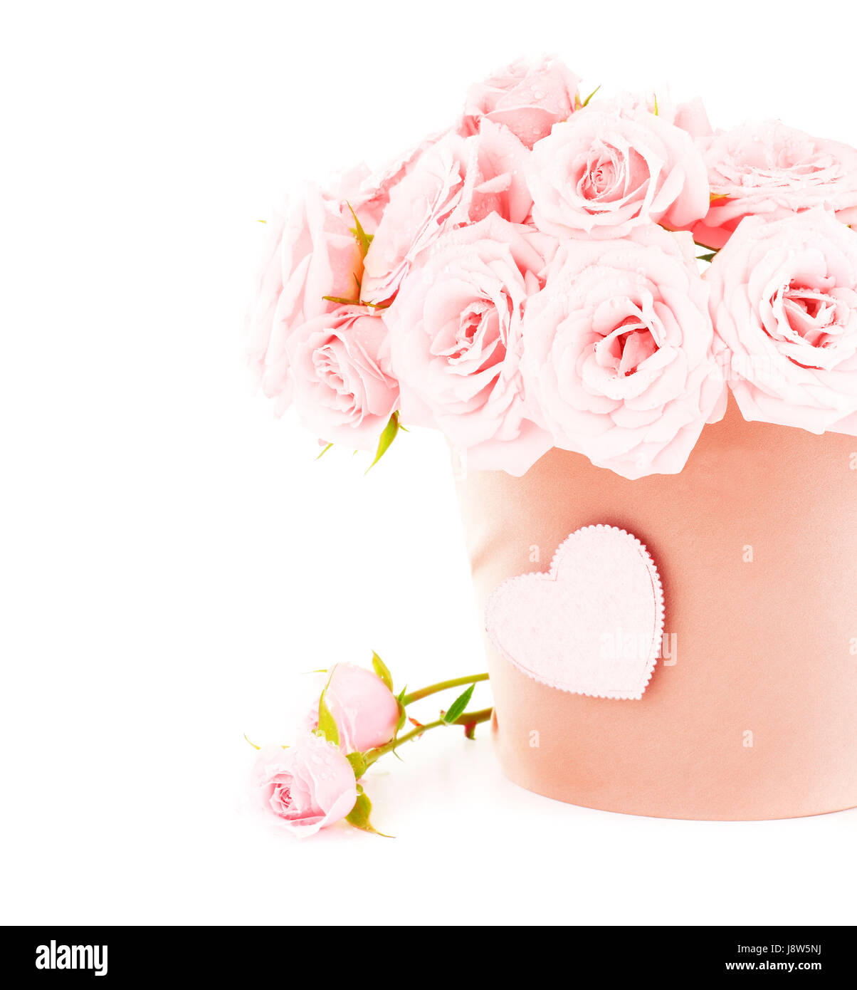 Fiore, impianto, rose, pot, amore, in amore, cadde in amore, Valentino, cuore, rosa, Foto Stock