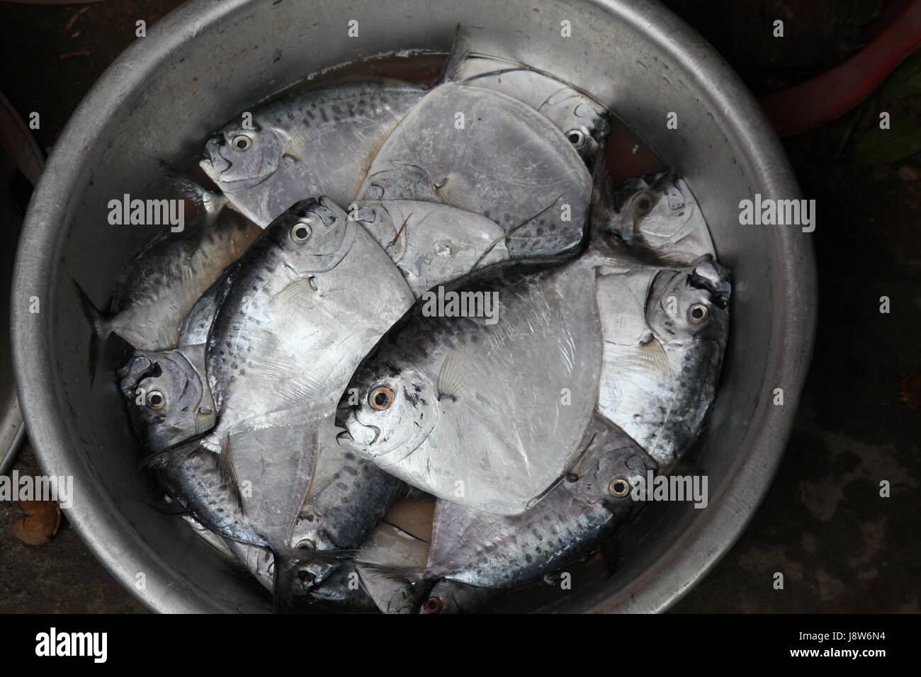 Pesci, Viet Nam, vietnam, Fish Market, mercato settimanale, il mercato, il mercato delle pulci, Foto Stock
