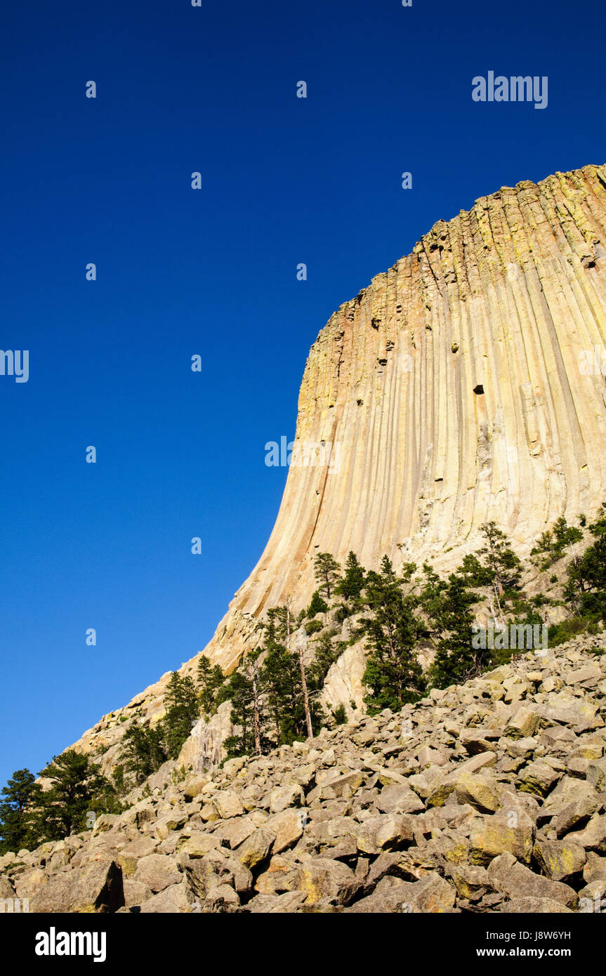 Devil's tower monumento nazionale, Wyoming USA Foto Stock