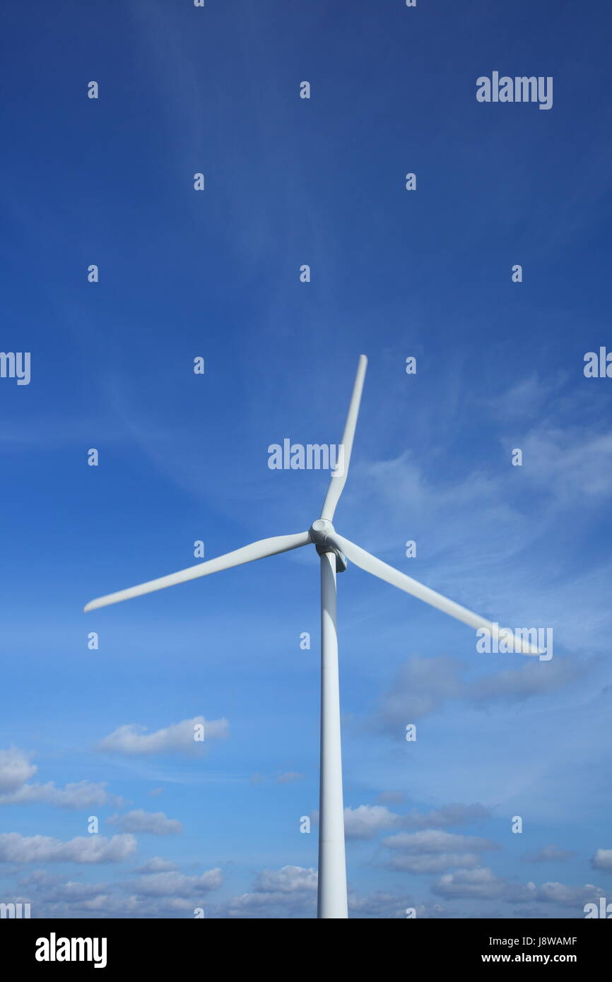 Ambiente, ambiente, energia, potenza, elettricità, energia elettrica, ecologia, Foto Stock