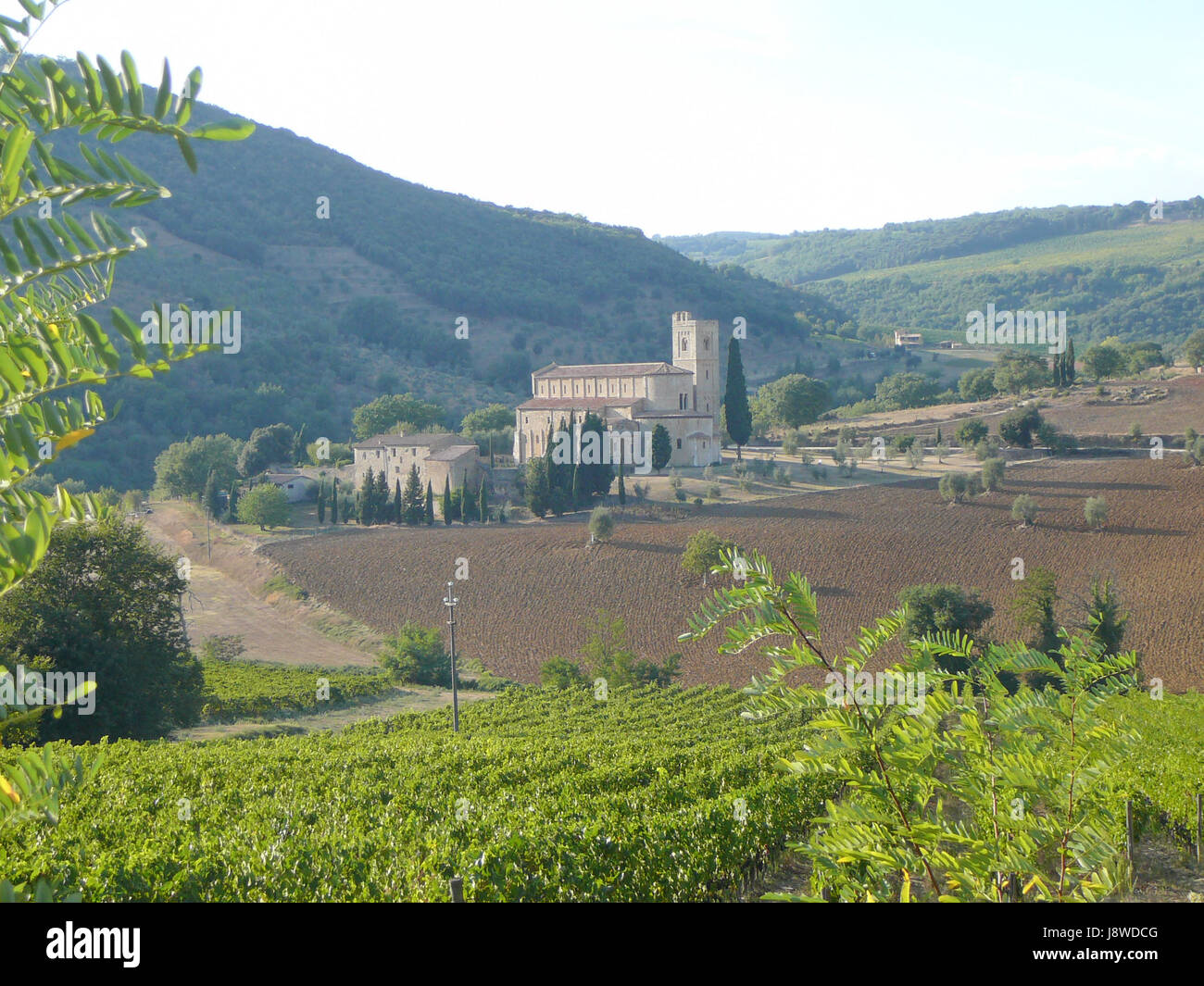 Toscana, abbazia, colline, Toscana, Toscana, abbazia, Vista, Vista, Outlook, Foto Stock