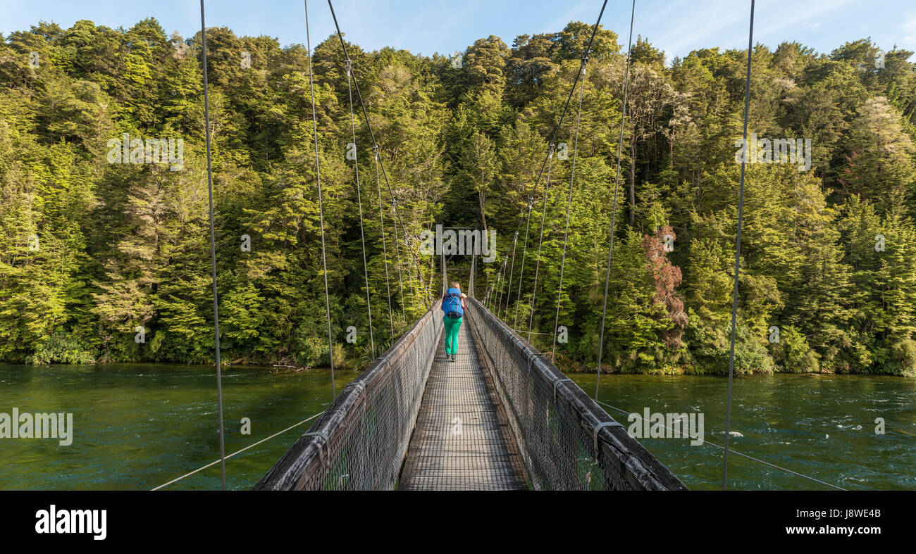 Escursionista femmina attraversando ponte di sospensione, Waiau river, Keplero via, Parco Nazionale di Fiordland, Southland, Isola del Sud Foto Stock