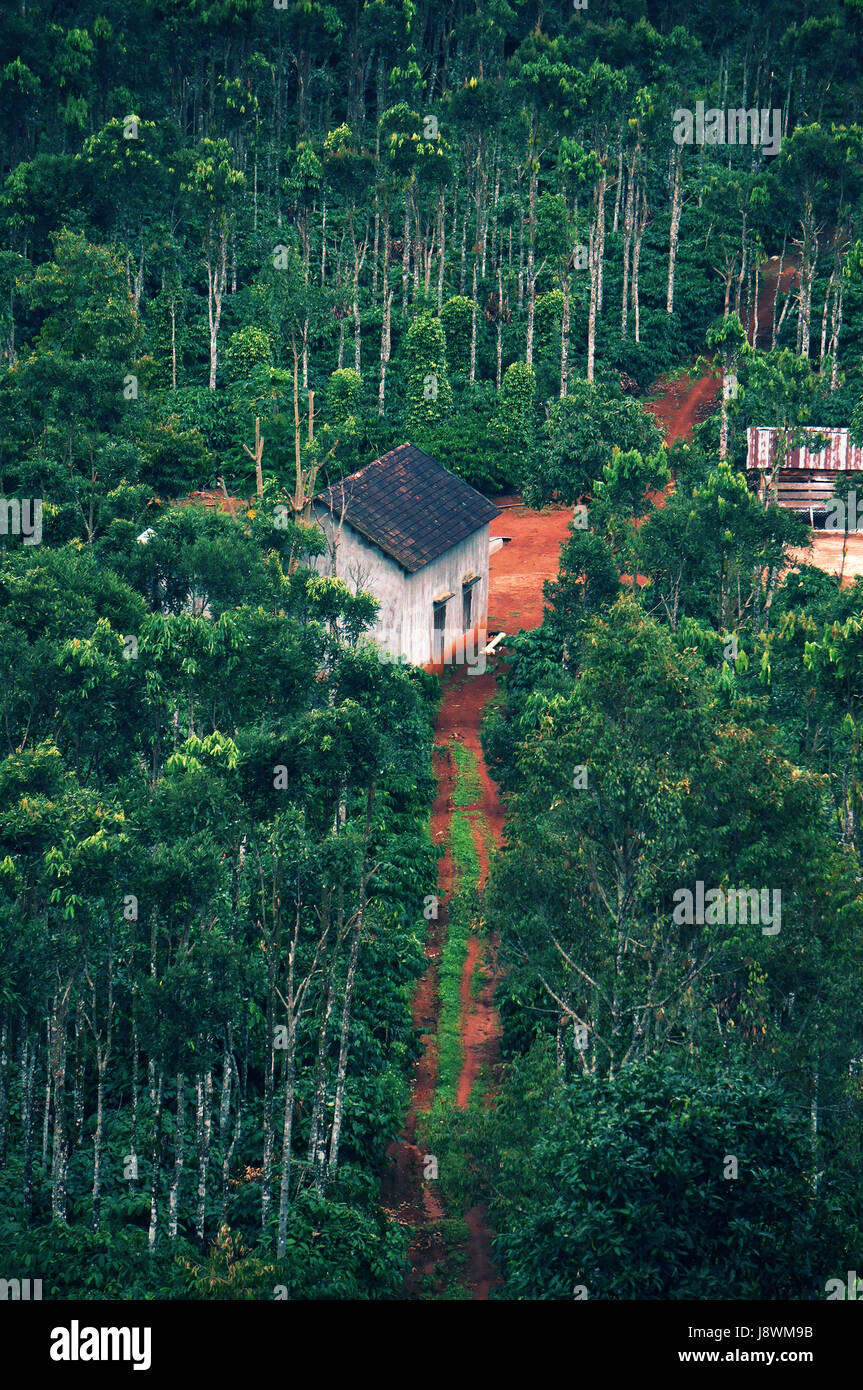 Casa nel verde del giardino di campagna Daklak, Viet Nam, bella scenic con mattoni casa, terra rossa, un percorso attraverso piantagioni rendono la calma, vista pacifica Foto Stock