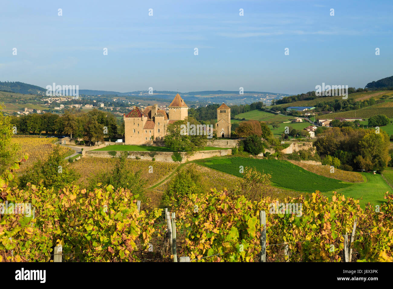 Francia, Saone et Loire, Pierreclos, castello di Pierreclos e vigna caduta Foto Stock