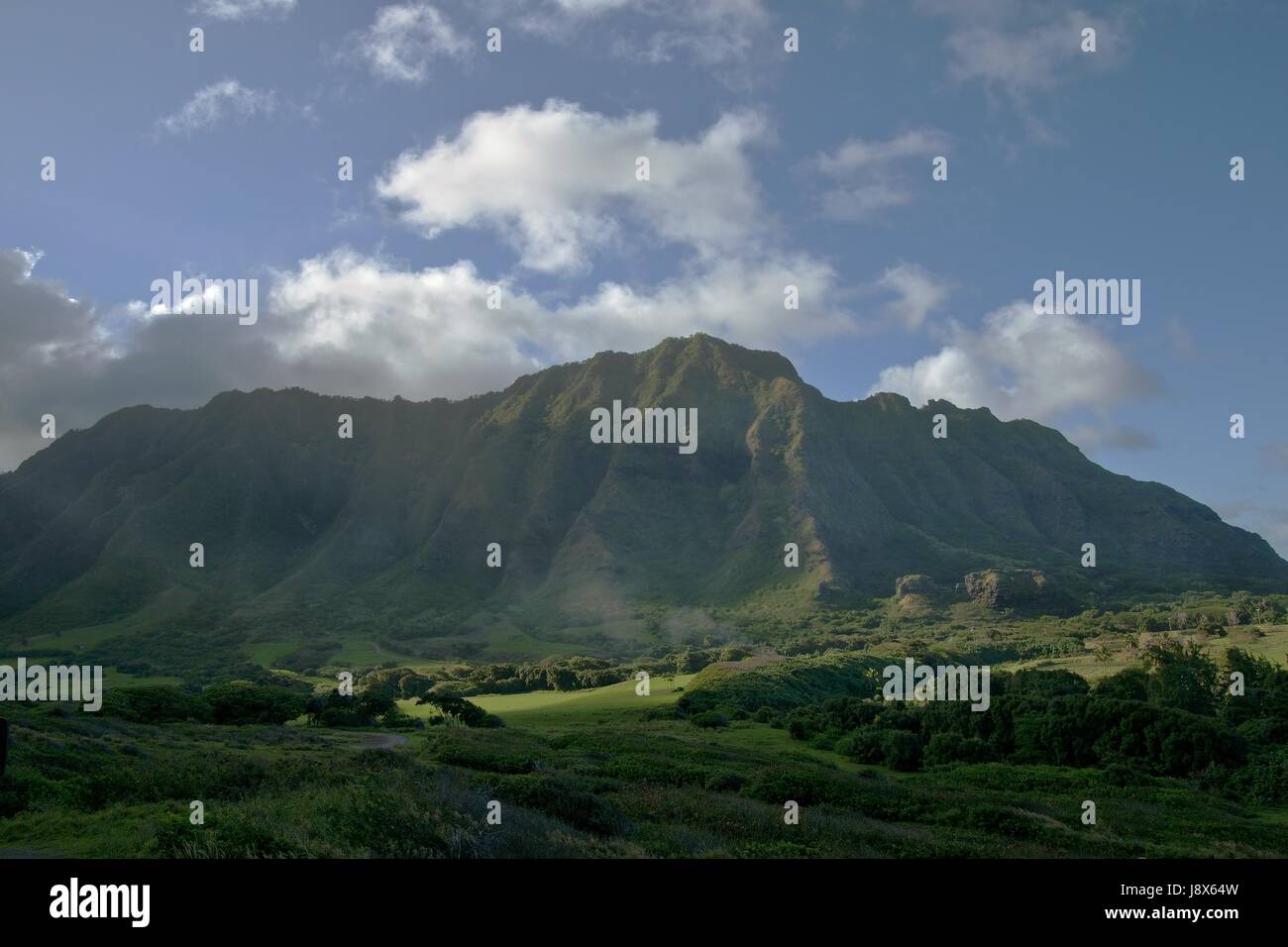 Verde, Stati Uniti d'America, ranch, montagna, Hawaii, isola, isola, nuvole, blu, albero, verde Foto Stock