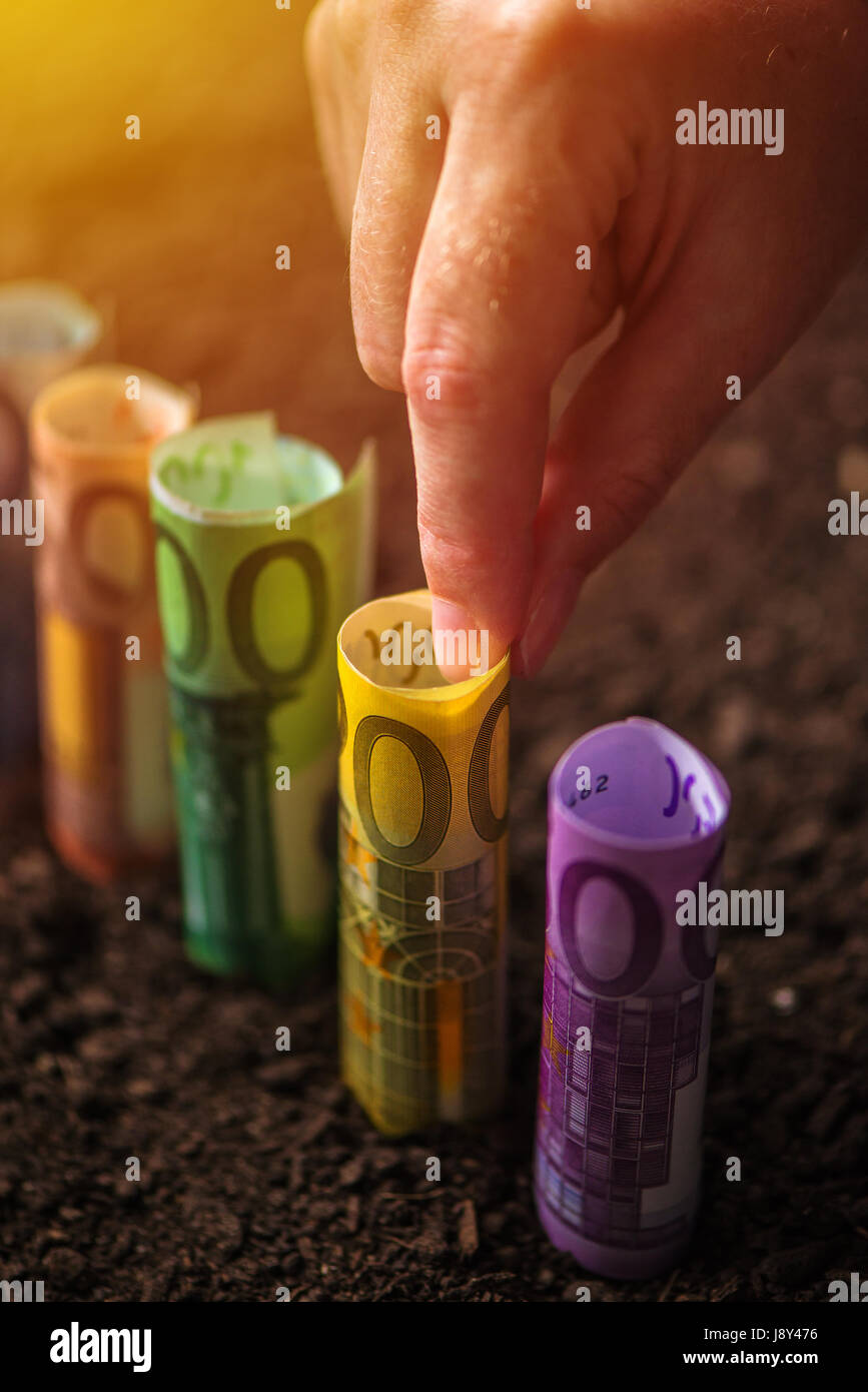 La raccolta di denaro euro, concettuale immagine agricola con raccolta a mano carta UE valuta dal suolo fertile terreno Foto Stock