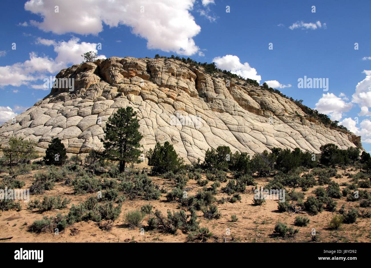 Punto di riferimento, Stati Uniti d'America, erosione, boulder, westen fels, Burr Trail, sdwesten, Escalante, Foto Stock