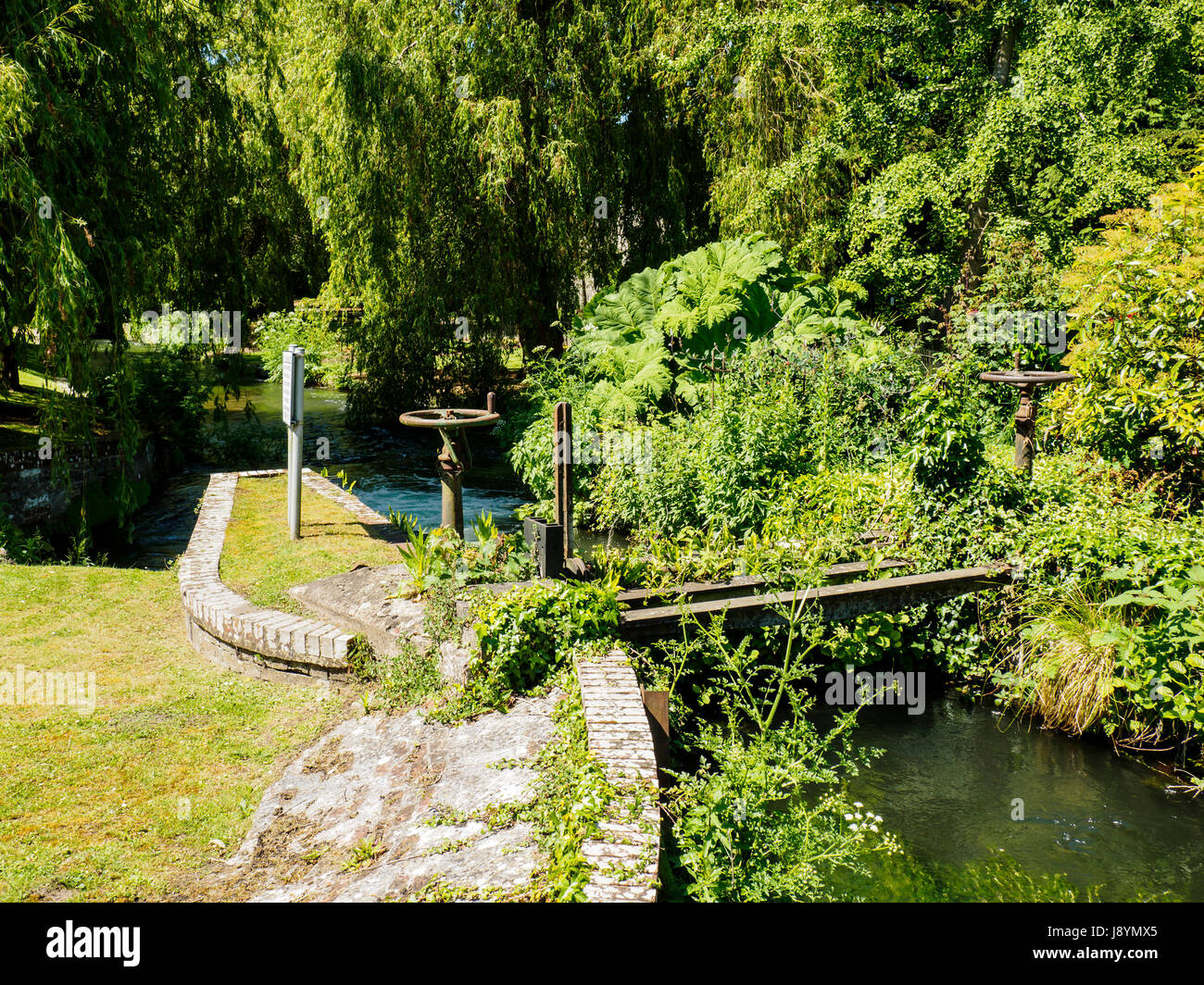Nel centro di Winchester, Hampshire il fiume Itchen sotto Town Mill fluisce attraverso una bella passeggiata lungo il fiume e il parco noto come gli sbarramenti Foto Stock