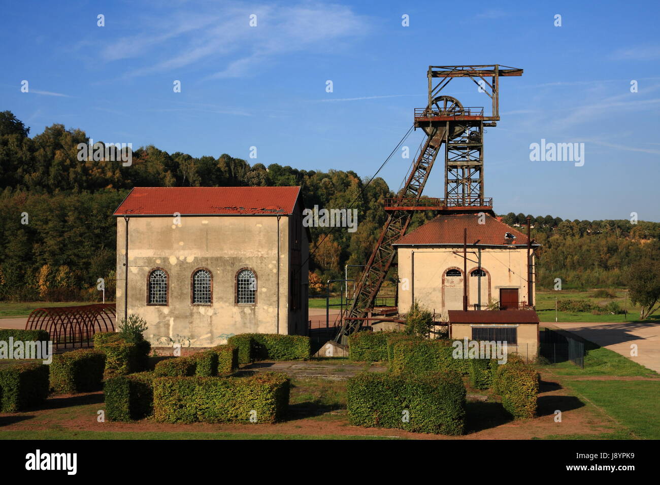 Il patrimonio culturale mondiale, albero pit, Lorena, blu, box-tree, museo, Francia, Foto Stock