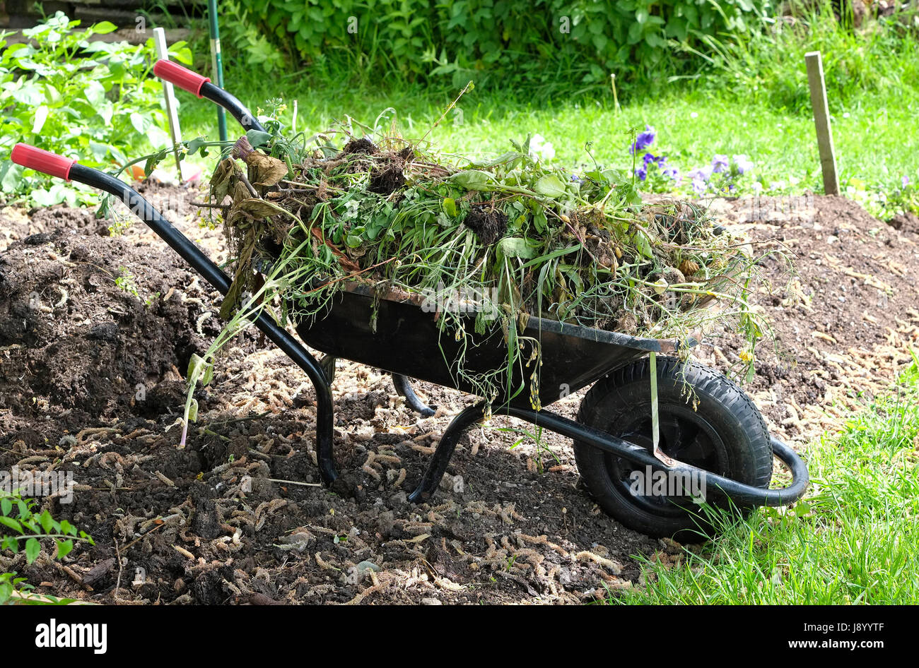 Strumento per la rimozione delle erbacce da giardino multifunzione manuale rinforzato in acciaio
