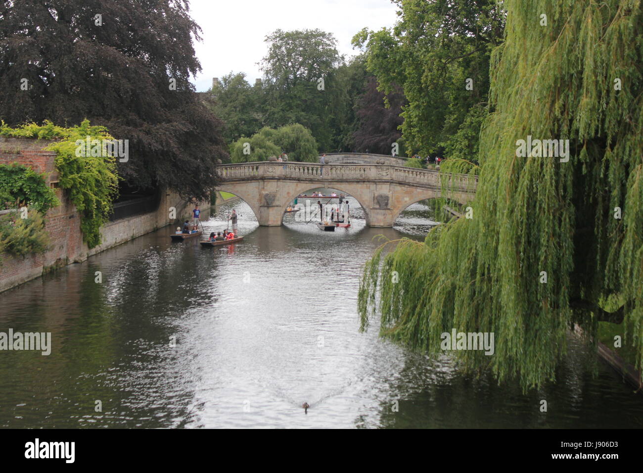 Punting a Cambridge Foto Stock