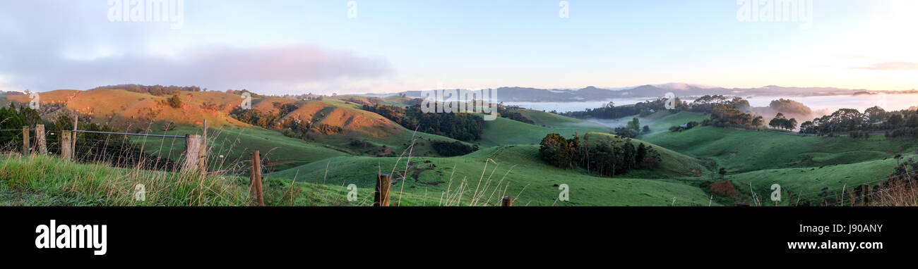 Paesaggio rurale panoroma Warkworth, a nord di Auckland, Isola del nord, Nuova Zelanda NZ Foto Stock
