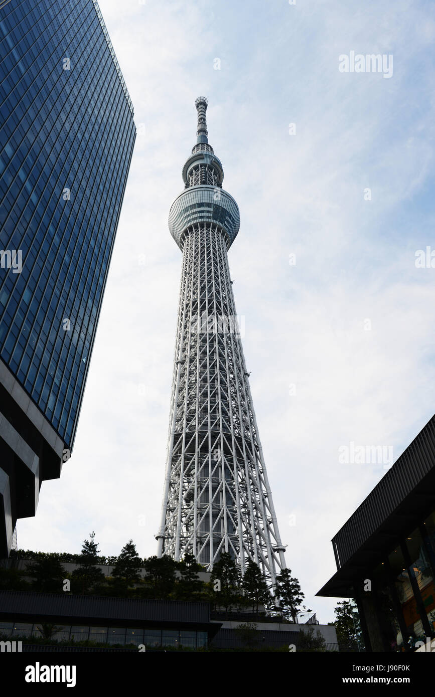 Tokyo skytree che incombe sul quartiere Sumida di Tokyo. Foto Stock