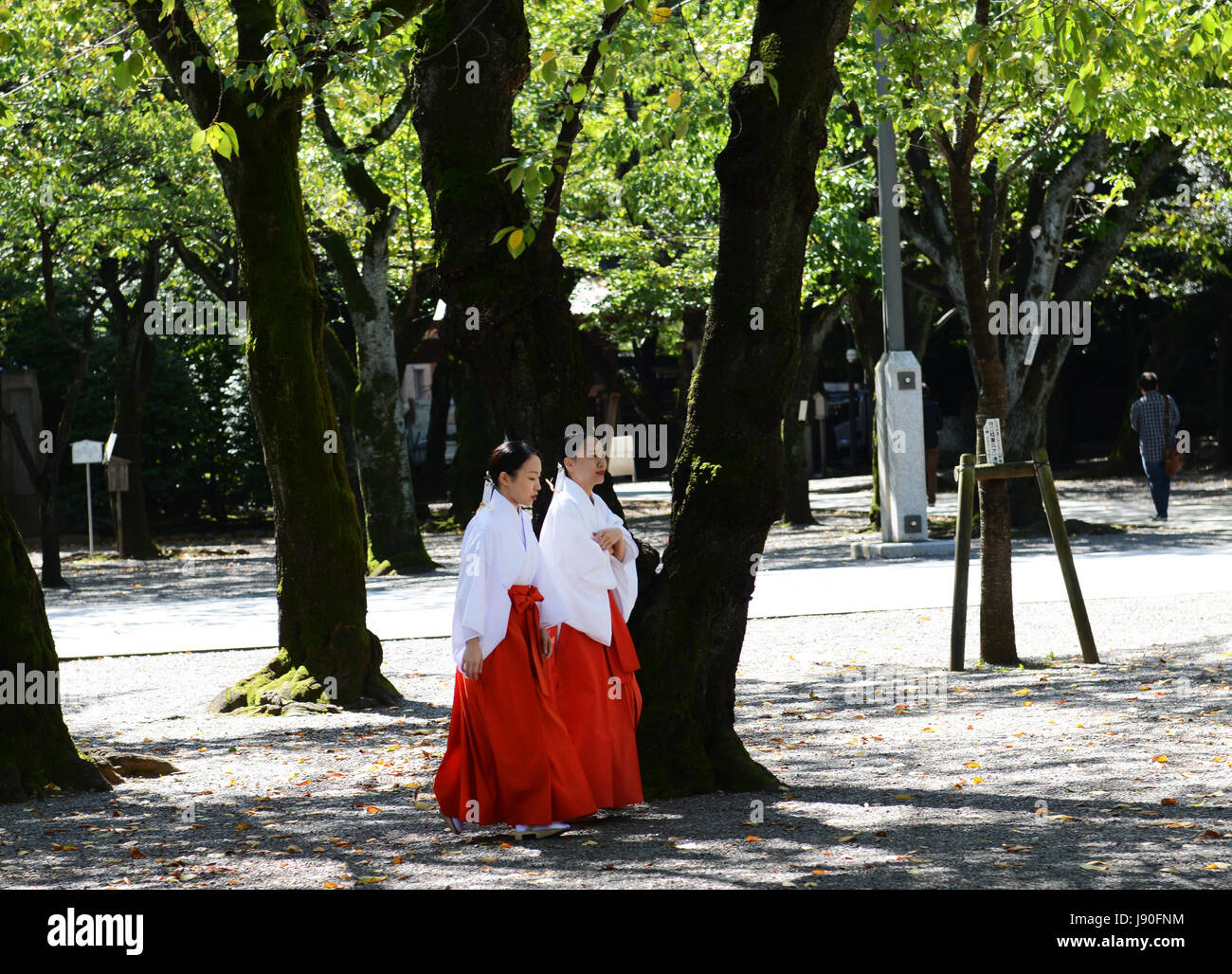 Lo Shintoismo sacerdotessa ( Miko ) presso il Santuario Yasukuni complesso in Tokyo. Foto Stock