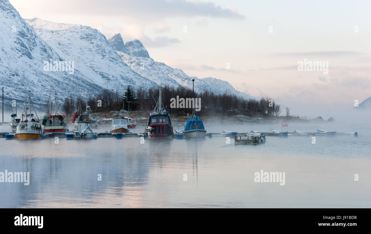 Inverno, nebbia, porto, porti, Fjord, pesca, barche a remi, barca a vela, Foto Stock