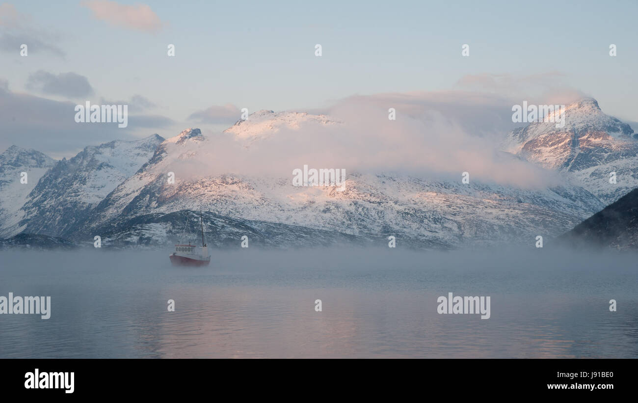 La nebbia, costa, Fjord, pesca, acqua salata, mare oceano, acqua, barca a remi, in barca a vela Foto Stock