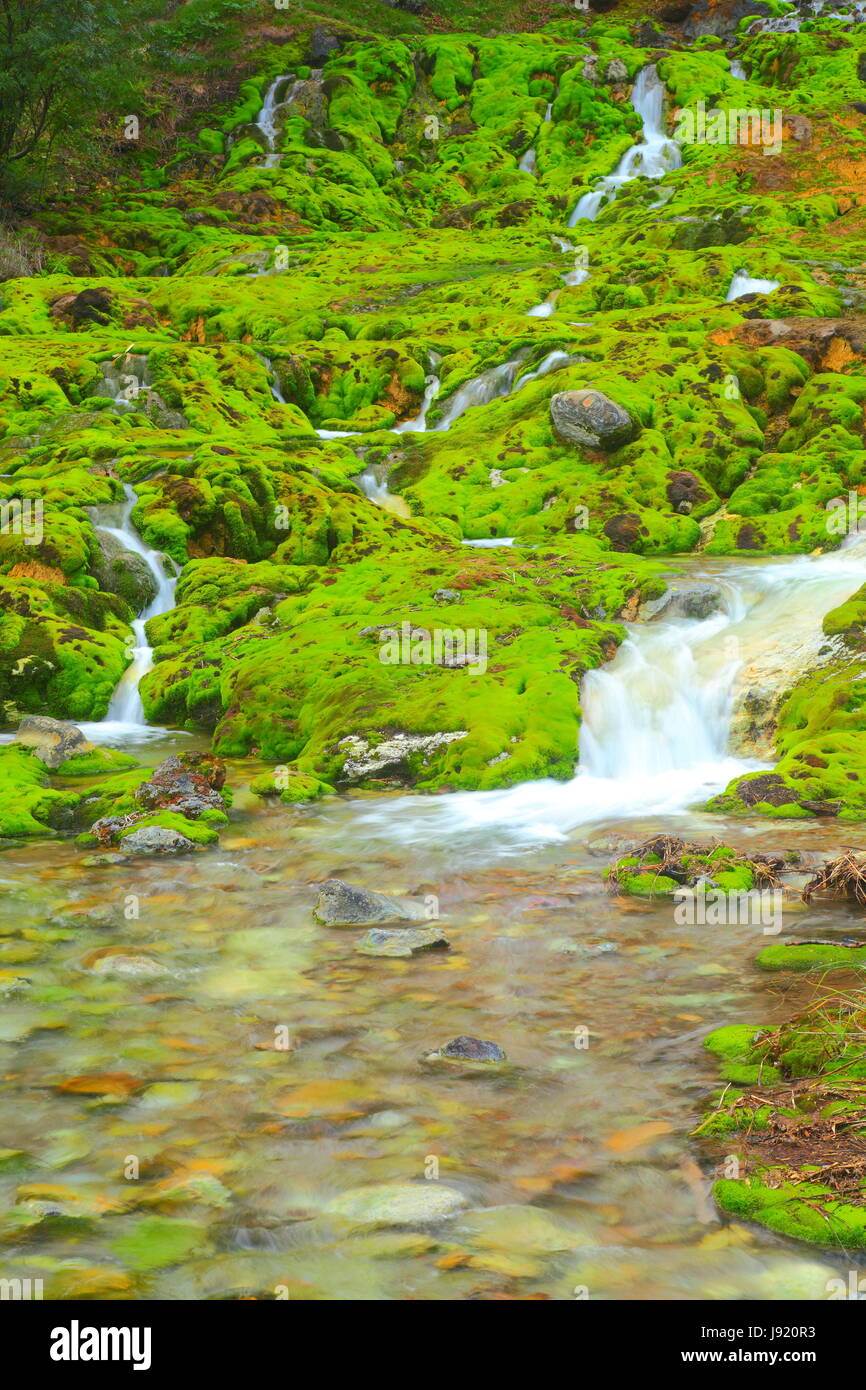 Ambiente, ambiente, stream, cascata, MOSS, ecologia, prato, verde acqua, Foto Stock