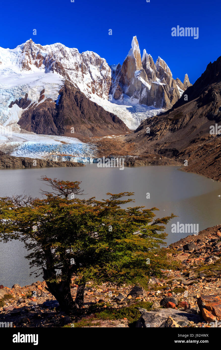 Cerro Torre e Torre laguna. El Chalten, Santa Cruz, Argentina Foto Stock