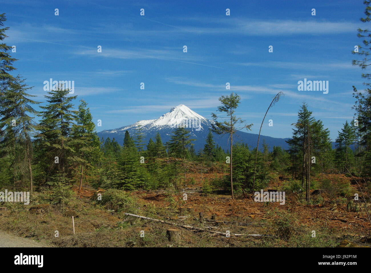 Albero, montagna, vulcan, vulcano, foresta, la linea blu, grande, grande, enorme, Foto Stock