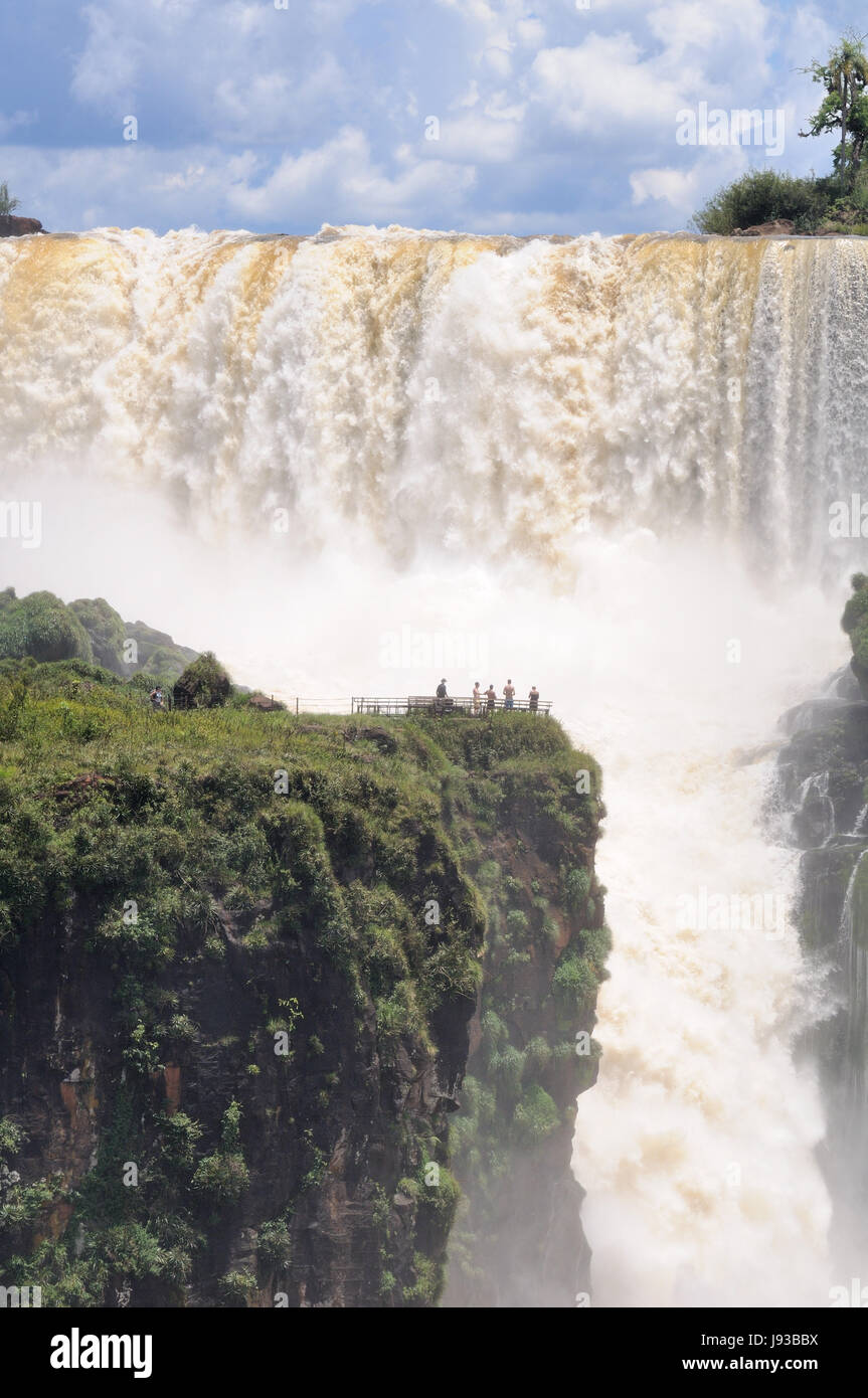 Cascata, america latina, foresta pluviale, rain forest, acqua, parco nazionale, vergine Foto Stock