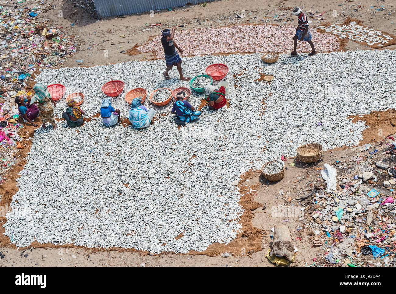 I pescatori e barche in legno in vista del mare dal ponte Pamban, Rameshwaram Foto Stock