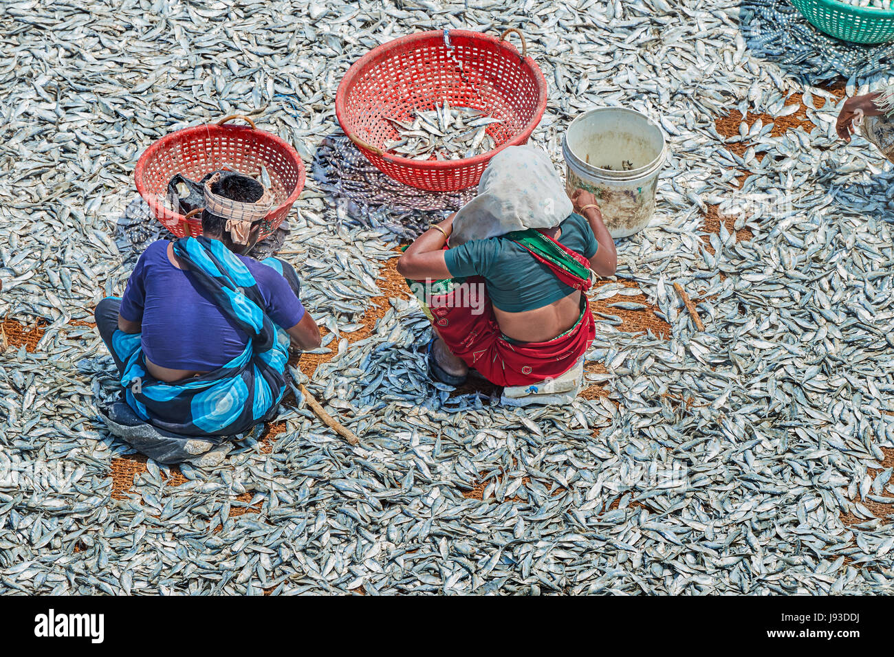 I pescatori e barche in legno in vista del mare dal ponte Pamban, Rameshwaram Foto Stock